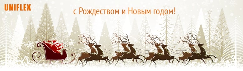 Поздравление с Новым годом 